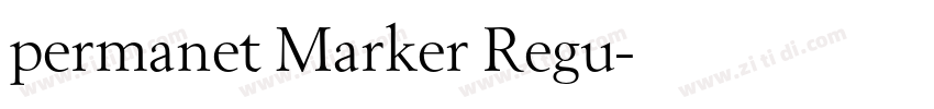 permanet Marker Regu字体转换